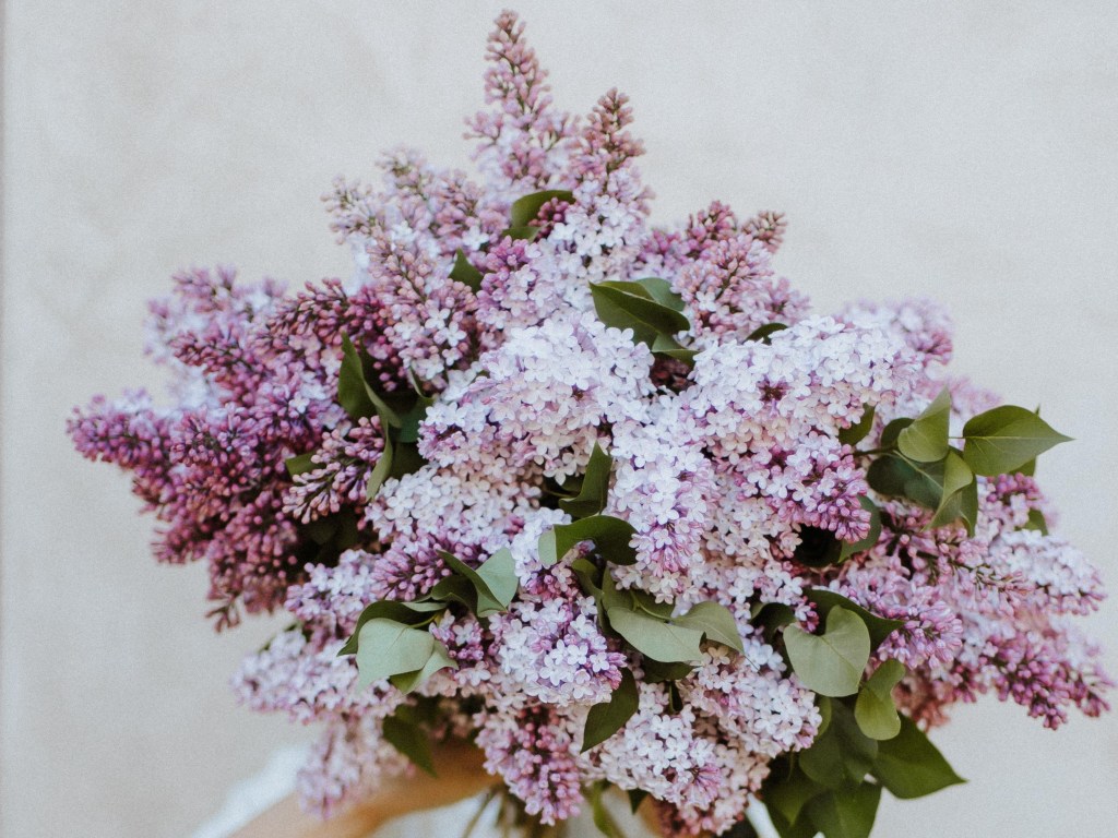 Working Unto the&nbsp;Lord