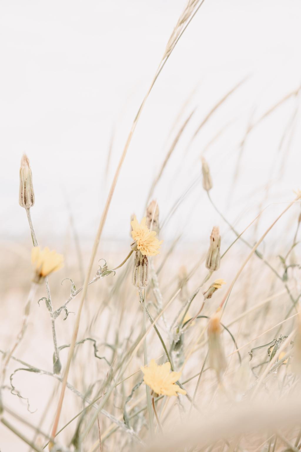 Break Up Your Fallow&nbsp;Ground